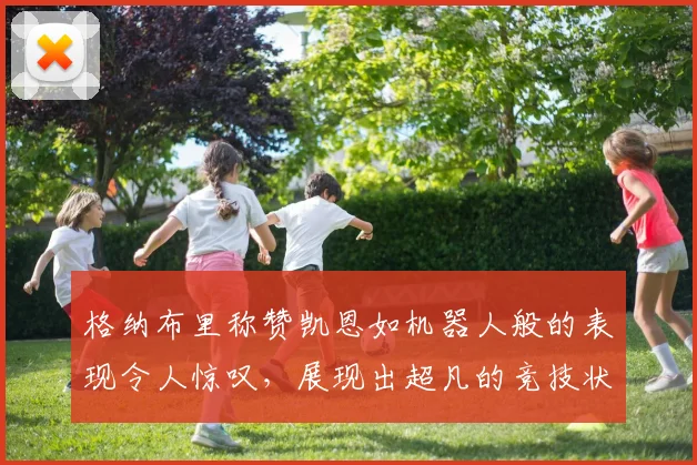 格纳布里称赞凯恩如机器人般的表现令人惊叹，展现出超凡的竞技状态
